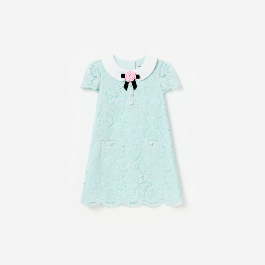 Mint Lace Collared Dress